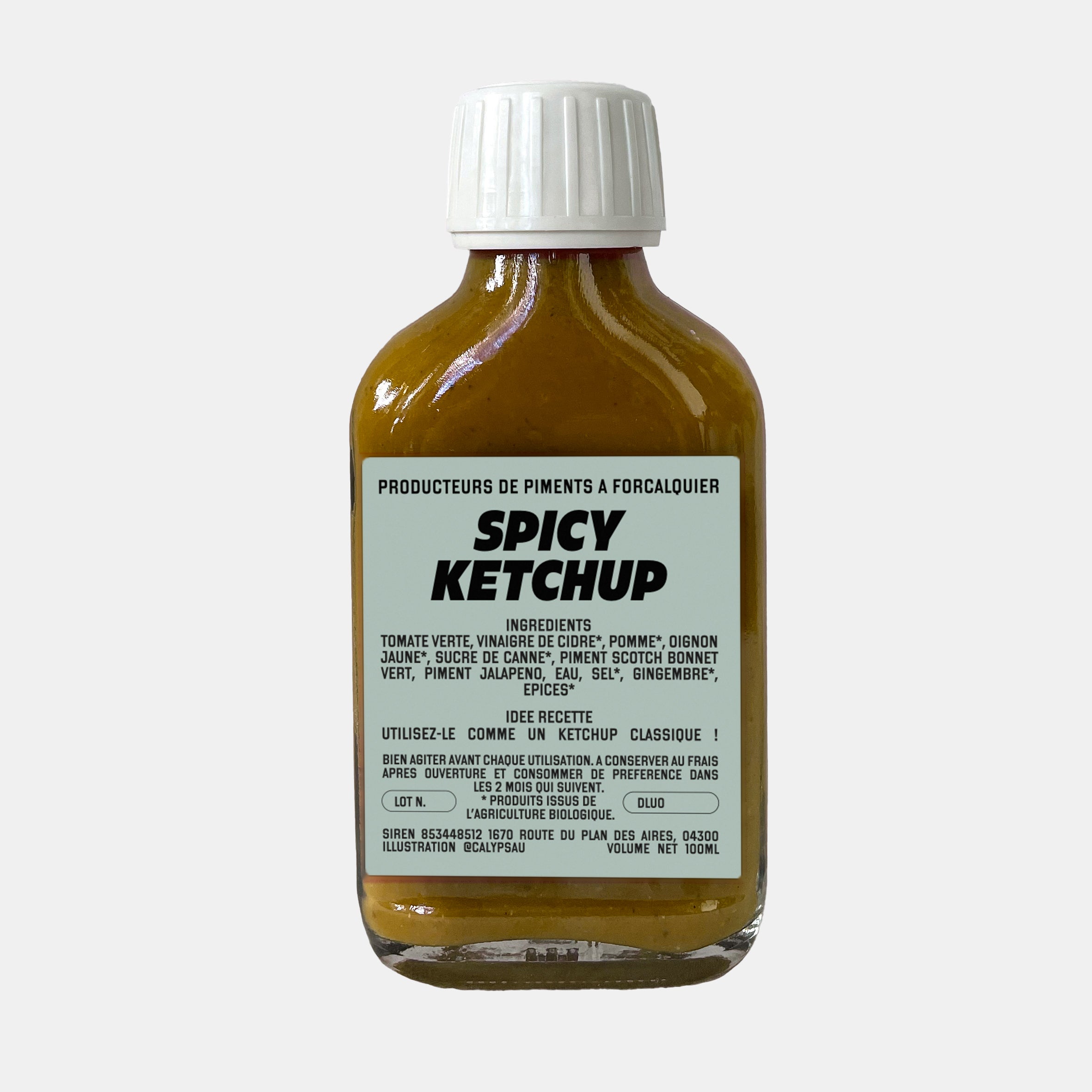 SPICY KETCHUP